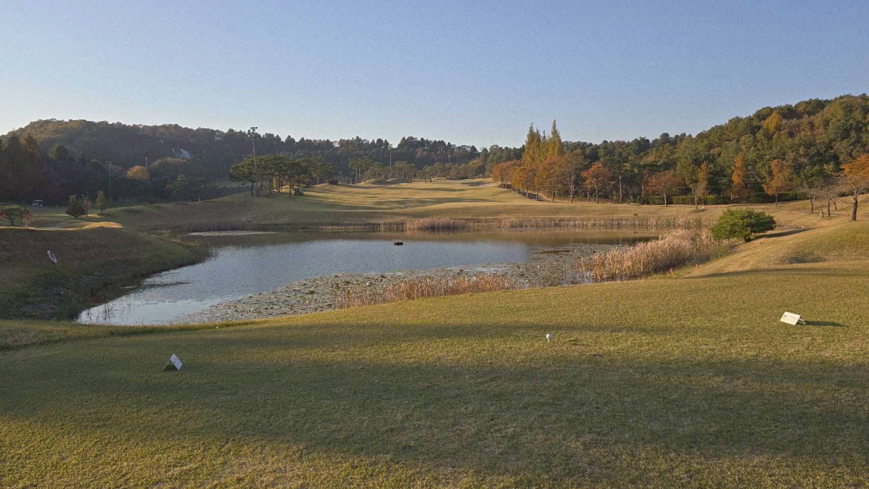 [충북 충주]시그너스cc 2025년 11월3일 기준 실크&코튼 코스 플레이후기