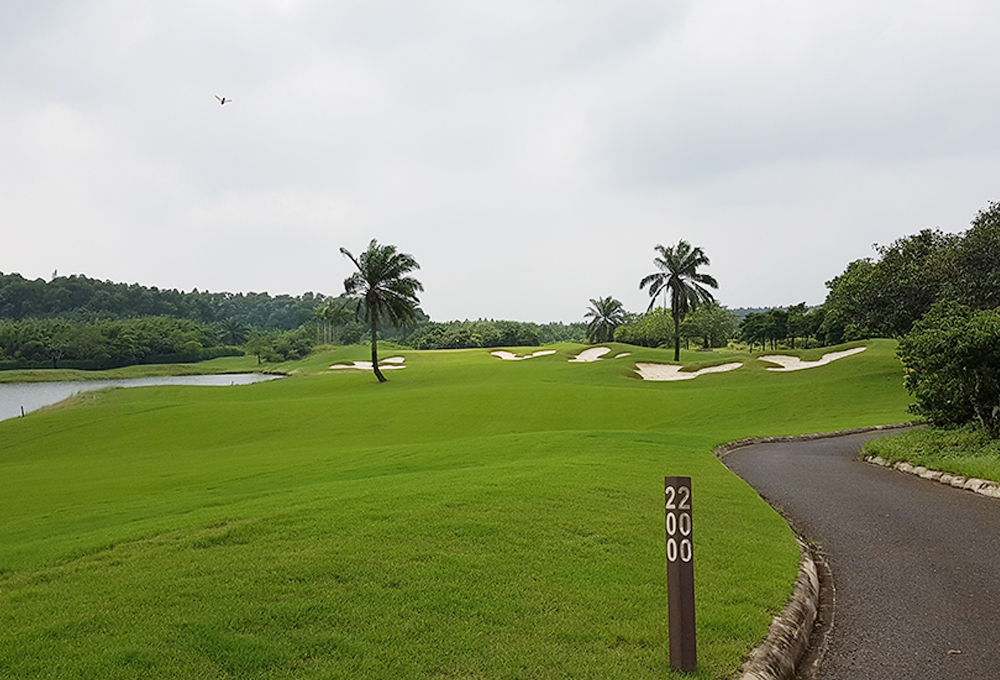 맹그로브 베이 (홍수만)
