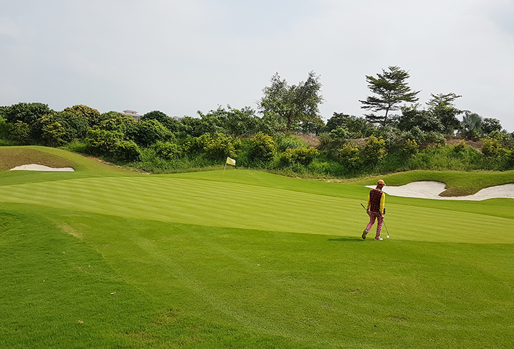 맹그로브 베이 (홍수만)