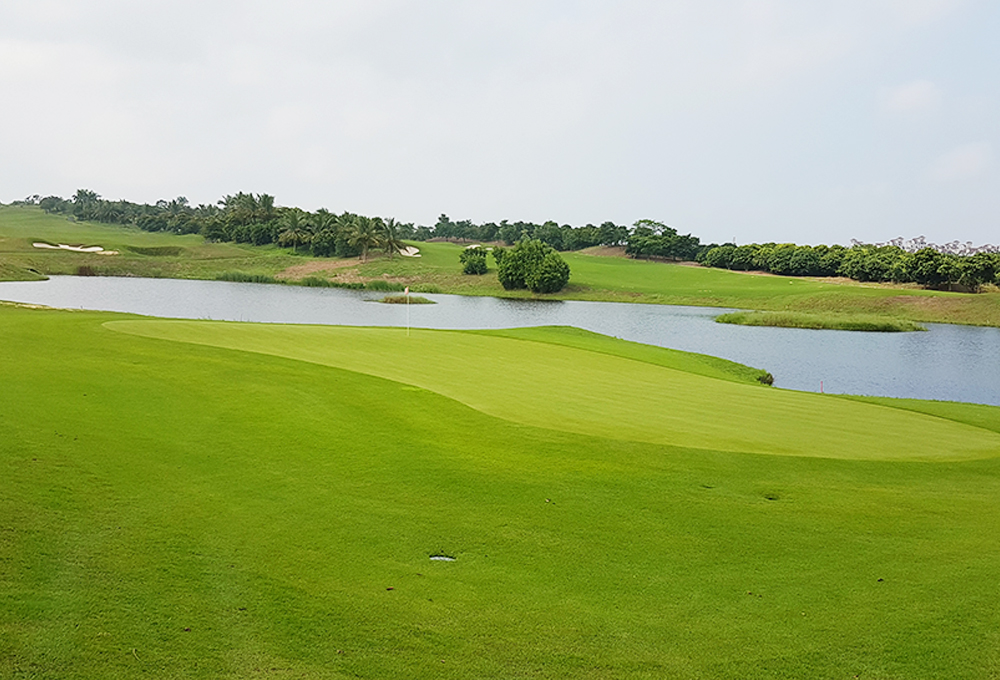  맹그로브 베이 (홍수만)