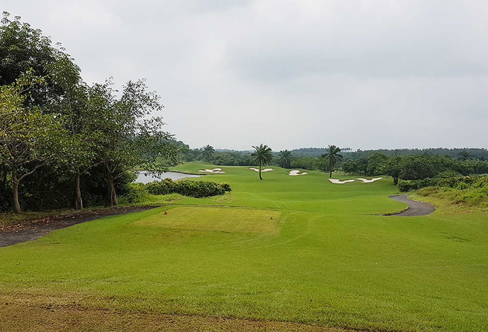  맹그로브 베이 (홍수만)