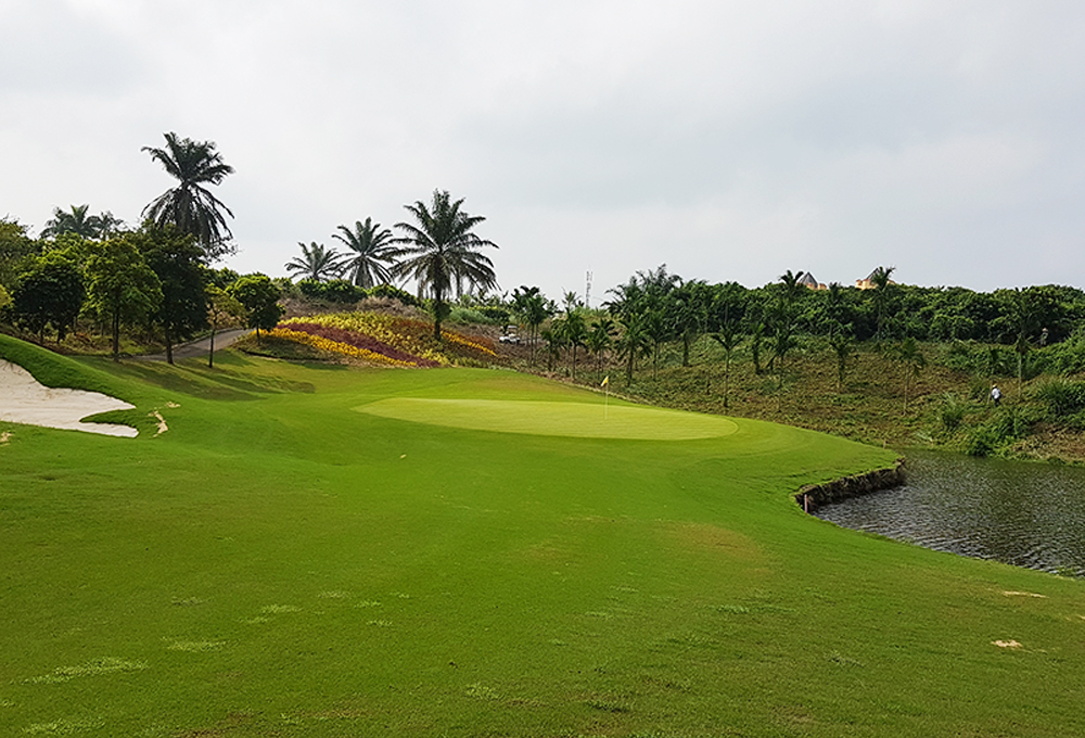  맹그로브 베이 (홍수만)