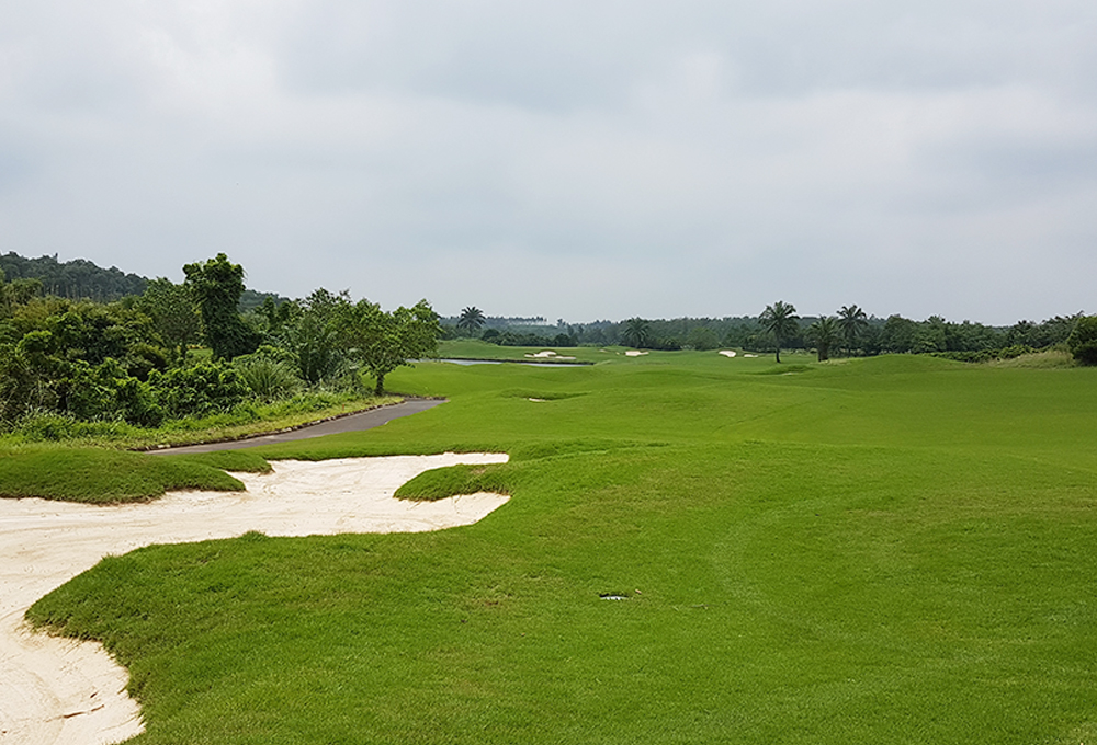  맹그로브 베이 (홍수만)
