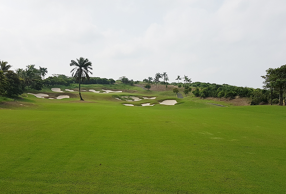  맹그로브 베이 (홍수만)