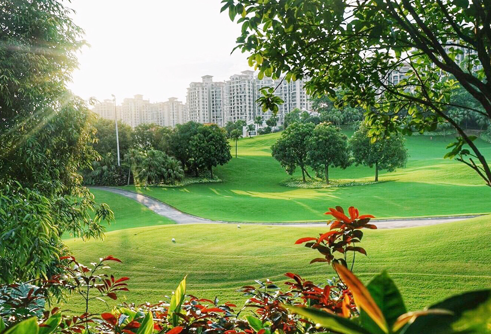 홀리데이 아일랜드