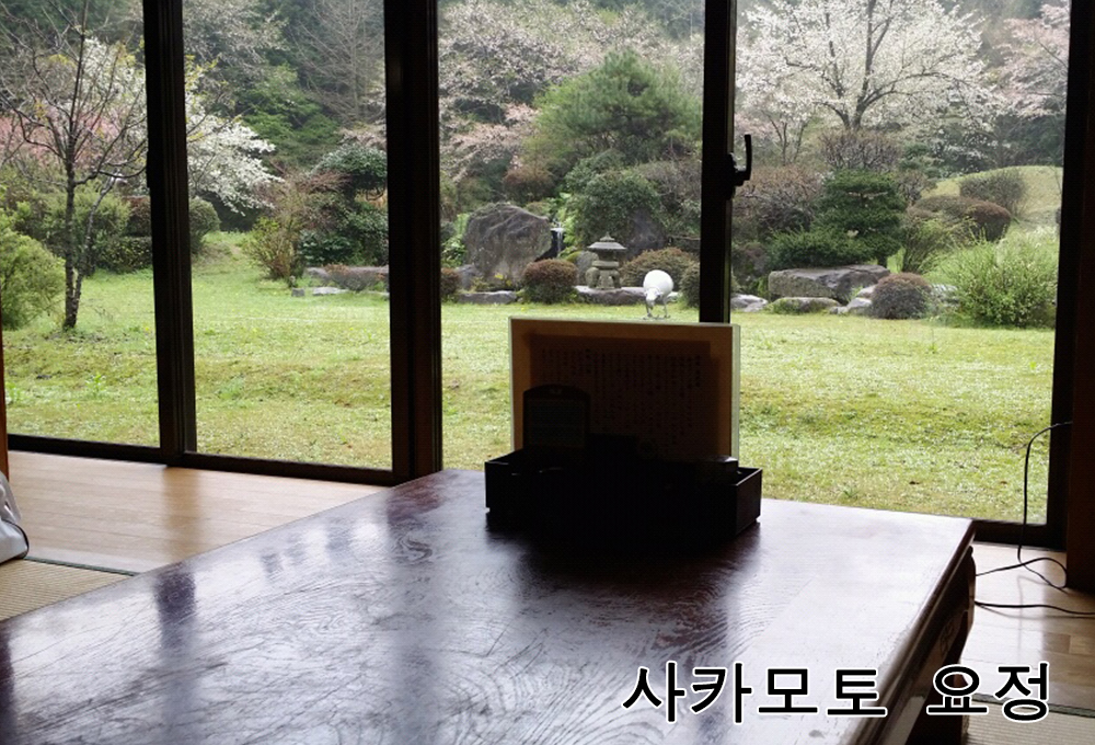 사카모토 요정