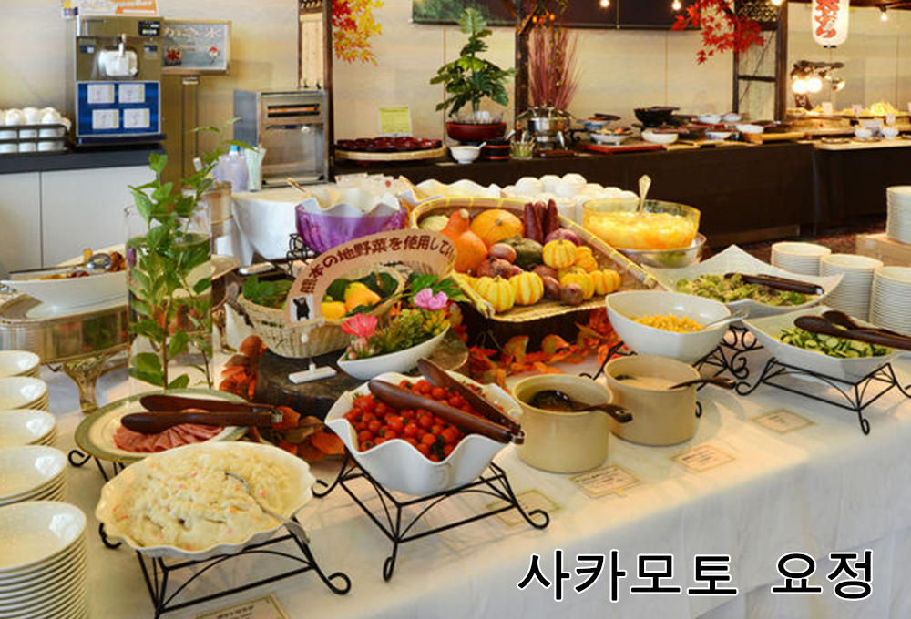 사카모토 요정