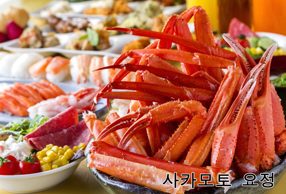 사카모토 요정